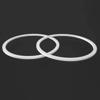 PTFE बॅक-अप रिंग